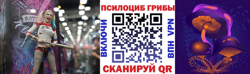 Купить где  Шарыпово  Галлюциногенные грибы Magic Shrooms 